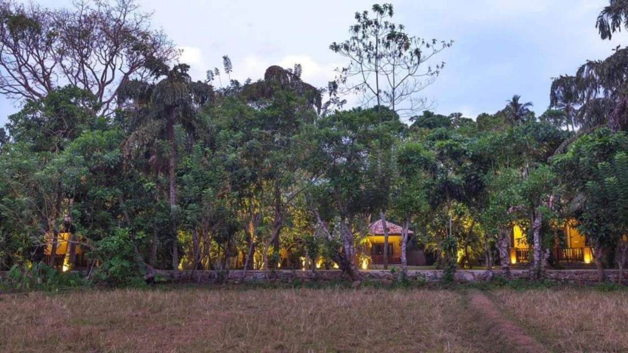 Birds Paradise Cabanas Unawatuna Eksteriør bilde