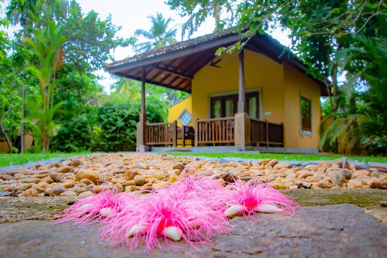 Birds Paradise Cabanas Unawatuna Eksteriør bilde
