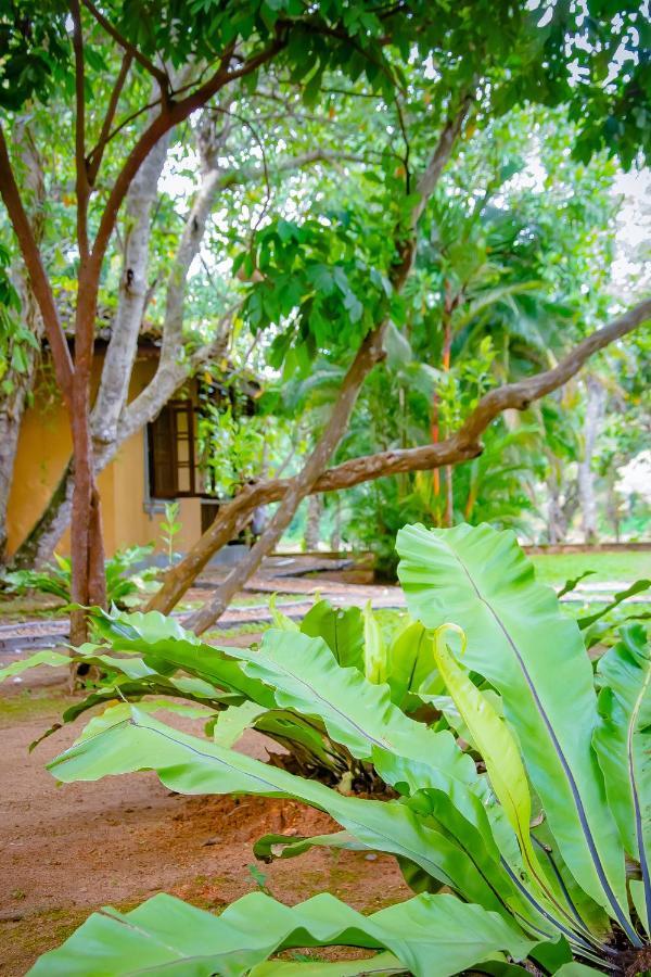 Birds Paradise Cabanas Unawatuna Eksteriør bilde