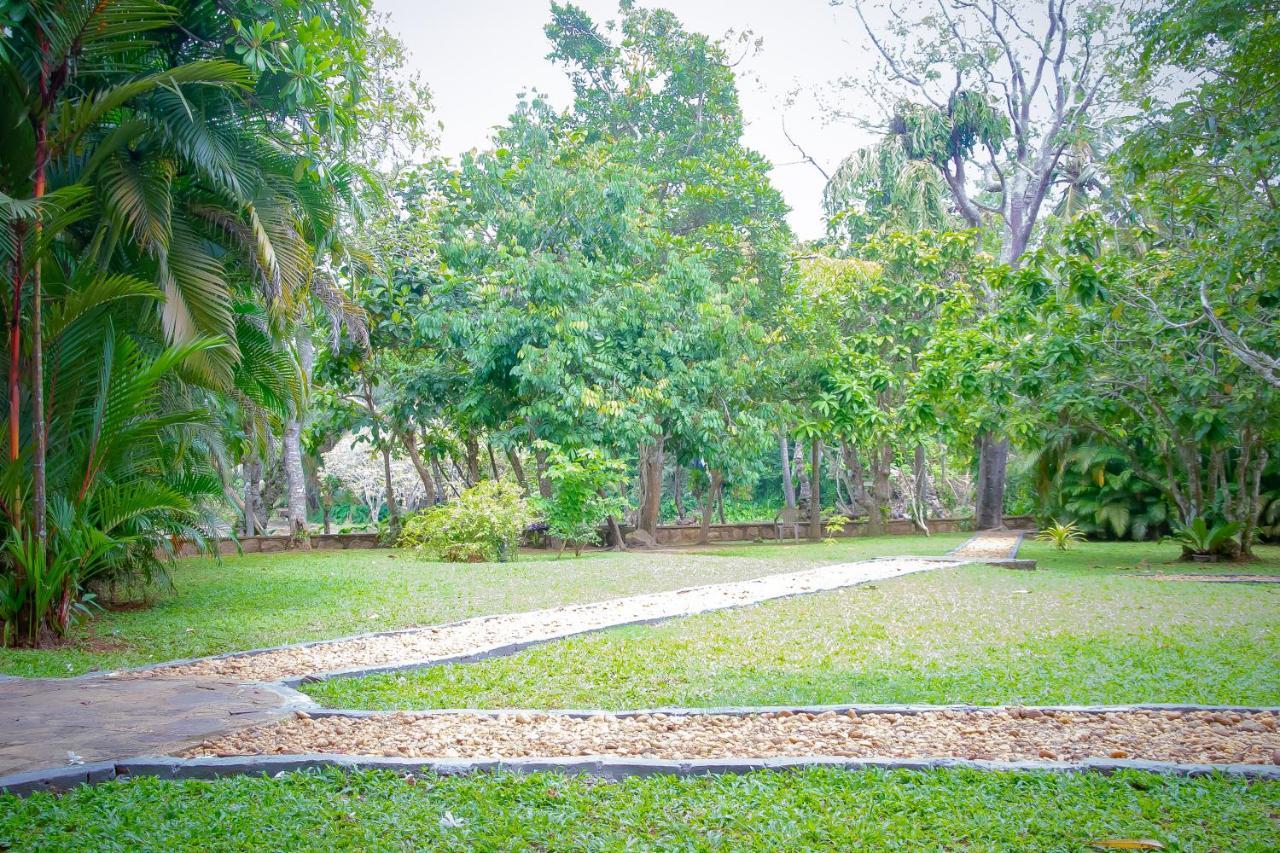 Birds Paradise Cabanas Unawatuna Eksteriør bilde
