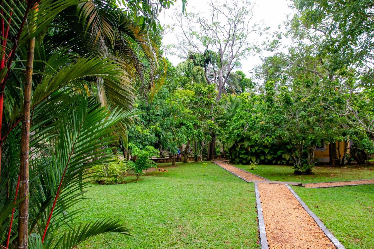 Birds Paradise Cabanas Unawatuna Eksteriør bilde