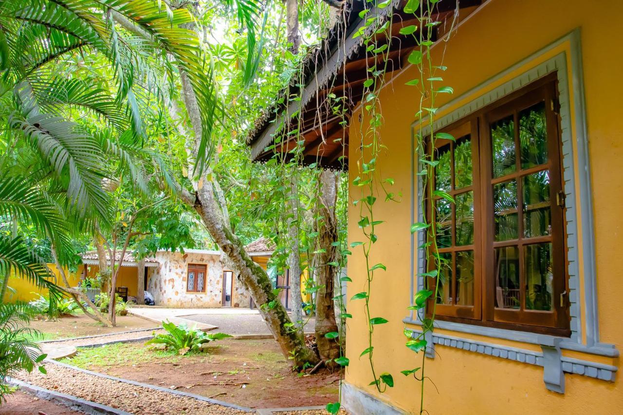 Birds Paradise Cabanas Unawatuna Eksteriør bilde